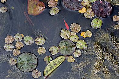 《幻兽帕鲁》开发商不介意被收购 希望游戏登陆更多平台